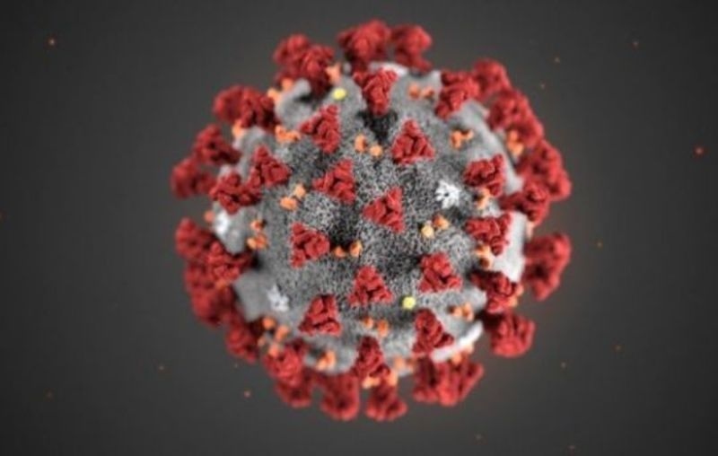 1463 са новите случаи на коронавирус у нас, положителни са 5,6% от тестовете